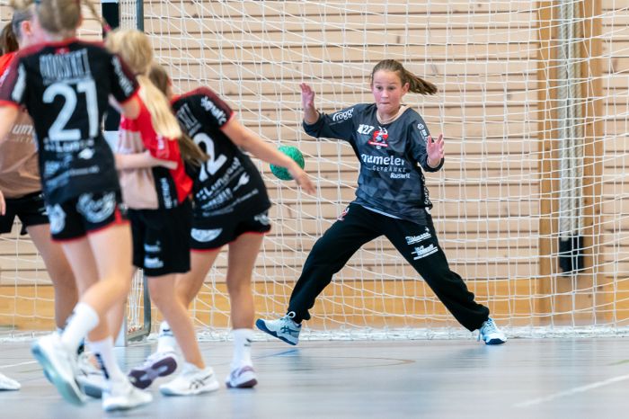 FU14_SGRuswilWolhusen_HandballEmmen-_022