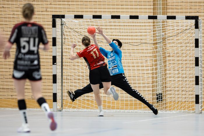 195843_Halbfinal-HandballEmmenF3-SGRuswilWolhusenF2-024