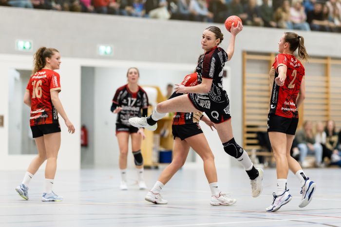 201726_Halbfinal-HandballEmmenF3-SGRuswilWolhusenF2-049