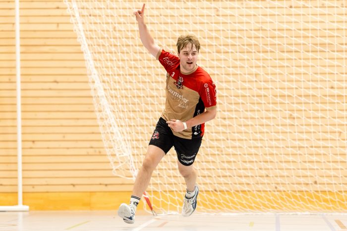 170416_M4-SGRuswilWolhusen-SGHandballSeetalFuture-056